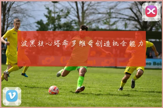 波黑核心塔希罗维奇创造机会能力