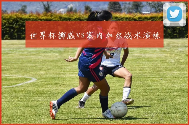 世界杯挪威vs塞内加尔战术演练