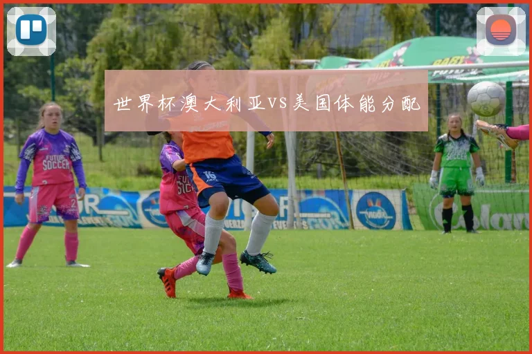 世界杯澳大利亚vs美国体能分配