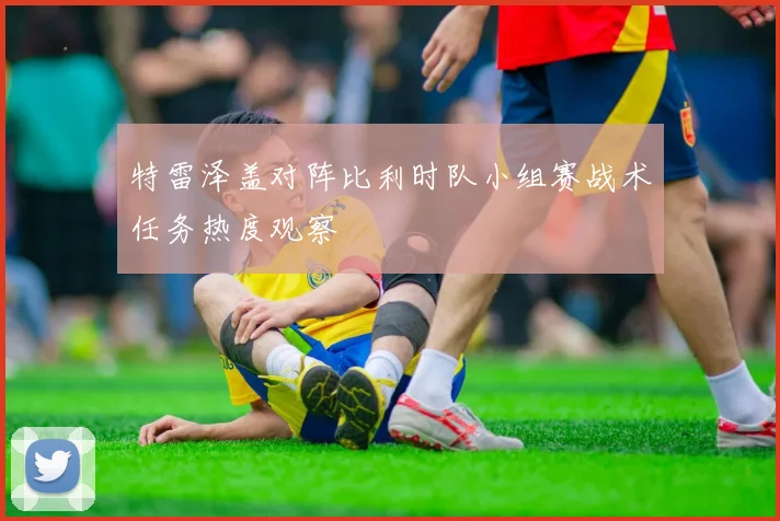 特雷泽盖对阵比利时队小组赛战术任务热度观察