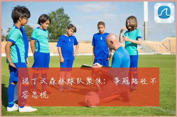 诺丁汉森林球队聚焦:争冠路径不容忽视