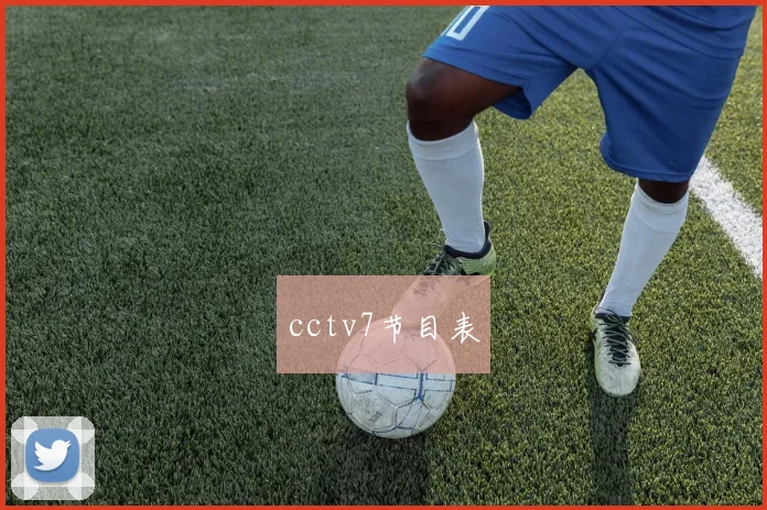 cctv7节目表