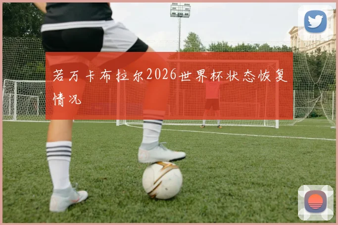若万卡布拉尔2026世界杯状态恢复情况