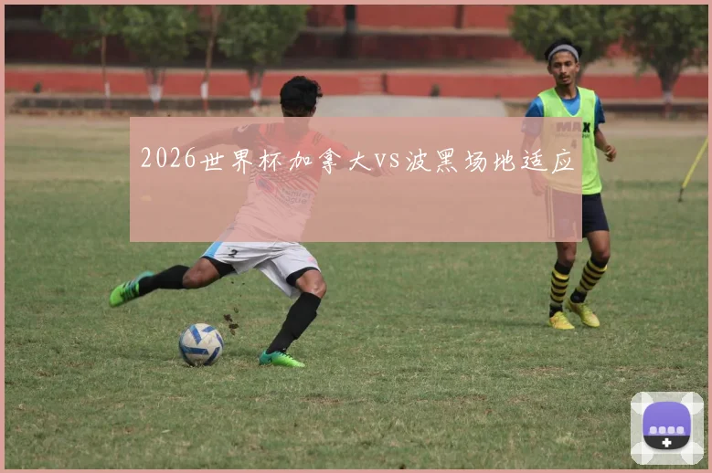 2026世界杯加拿大vs波黑场地适应